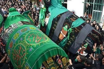 آیین ٣٠٠ ساله نخل گردانی در اورطشت باشکوه برگزار شد/ چه زمانی نخل نوا و اورطشت به هم می رسند؟