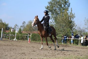 برگزاری چهارمین دوره مسابقه پرش با اسب در آمل/ گرامیداشت یاد و خاطره مرحوم محمدرضا بهرامی قهرمان سوارکاری کشور در آمل